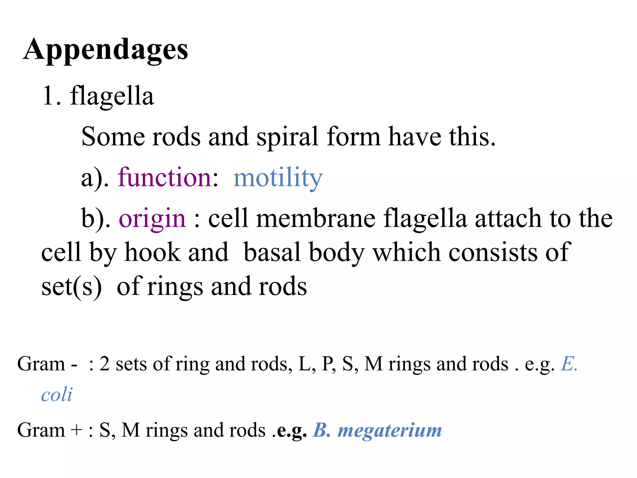 Morphology of bacteria | PPT