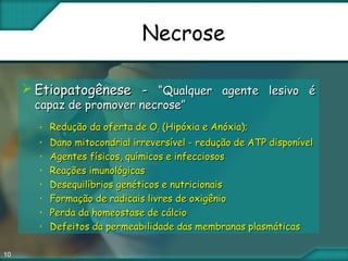 10
Necrose
 Etiopatogênese -Etiopatogênese - “Qualquer agente lesivo é“Qualquer agente lesivo é
capaz de promover necrose”capaz de promover necrose”
• Redução da oferta de ORedução da oferta de O22 (Hipóxia e Anóxia);(Hipóxia e Anóxia);
• Dano mitocondrial irreversível - redução de ATP disponívelDano mitocondrial irreversível - redução de ATP disponível
• Agentes físicos, químicos e infecciososAgentes físicos, químicos e infecciosos
• Reações imunológicasReações imunológicas
• Desequilíbrios genéticos e nutricionaisDesequilíbrios genéticos e nutricionais
• Formação de radicais livres de oxigênioFormação de radicais livres de oxigênio
• Perda da homeostase de cálcioPerda da homeostase de cálcio
• Defeitos da permeabilidade das membranas plasmáticasDefeitos da permeabilidade das membranas plasmáticas
 