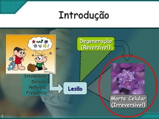 2
IntroduçãoIntrodução
LesãoLesão
DegeneraçãoDegeneração
(Reversível)(Reversível)
Morte CelularMorte Celular
(Irreversível)(Irreversível)
IntensidadeIntensidade
DuraçãoDuração
NaturezaNatureza
FrequênciaFrequência
 