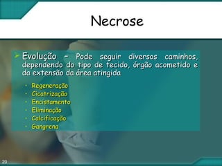 20
Necrose
 Evolução –Evolução – Pode seguir diversos caminhos,Pode seguir diversos caminhos,
dependendo do tipo de tecido, órgão acometido edependendo do tipo de tecido, órgão acometido e
da extensão da área atingidada extensão da área atingida
• RegeneraçãoRegeneração
• CicatrizaçãoCicatrização
• EncistamentoEncistamento
• EliminaçãoEliminação
• CalcificaçãoCalcificação
• GangrenaGangrena
 