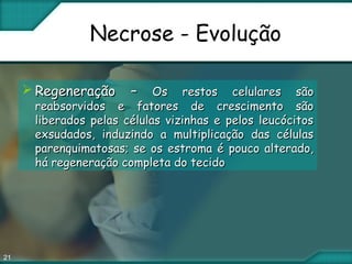 21
Necrose - Evolução
 Regeneração –Regeneração – Os restos celulares sãoOs restos celulares são
reabsorvidos e fatores de crescimento sãoreabsorvidos e fatores de crescimento são
liberados pelas células vizinhas e pelos leucócitosliberados pelas células vizinhas e pelos leucócitos
exsudados, induzindo a multiplicação das célulasexsudados, induzindo a multiplicação das células
parenquimatosas; se os estroma é pouco alterado,parenquimatosas; se os estroma é pouco alterado,
há regeneração completa do tecidohá regeneração completa do tecido
 