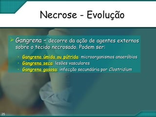 25
Necrose - Evolução
 Gangrena –Gangrena – decorre da ação de agentes externosdecorre da ação de agentes externos
sobre o tecido necrosado. Podem ser:sobre o tecido necrosado. Podem ser:
• Gangrena úmida ou pútridaGangrena úmida ou pútrida:: microorganismos anaeróbiosmicroorganismos anaeróbios
• Gangrena secaGangrena seca:: lesões vasculareslesões vasculares
• Gangrena gasosaGangrena gasosa:: infecção secundária porinfecção secundária por ClostridiumClostridium
 