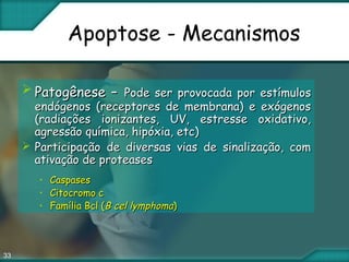 33
Apoptose - Mecanismos
 Patogênese –Patogênese – Pode ser provocada por estímulosPode ser provocada por estímulos
endógenos (receptores de membrana) e exógenosendógenos (receptores de membrana) e exógenos
(radiações ionizantes, UV, estresse oxidativo,(radiações ionizantes, UV, estresse oxidativo,
agressão química, hipóxia, etc)agressão química, hipóxia, etc)
 Participação de diversas vias de sinalização, comParticipação de diversas vias de sinalização, com
ativação de proteasesativação de proteases
• CaspasesCaspases
• Citocromo cCitocromo c
• Família Bcl (Família Bcl (B cel lymphomaB cel lymphoma))
 