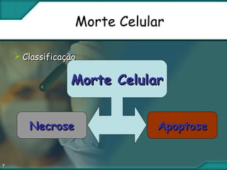 7
Morte Celular
 ClassificaçãoClassificação
NecroseNecrose ApoptoseApoptose
Morte CelularMorte Celular
 
