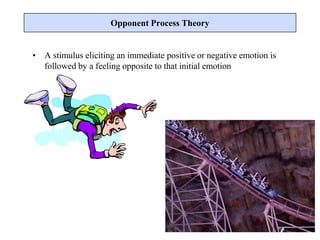 • A stimulus eliciting an immediate positive or negative emotion is
followed by a feeling opposite to that initial emotion
Opponent Process Theory
 