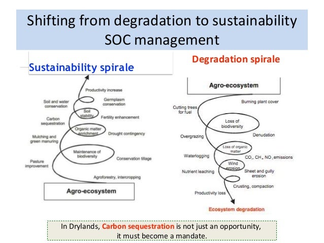 Agriculture Food Production And Natural Resources Skills Needed Agriculture Food Production And Natural Resources Skills Needed