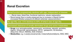 Renal Excretion
Renal function progressively declines with age, independent of disease
• ↓ Renal mass, blood flow, functional nephrons, tubular reabsorption
• Renal tubular flow is mostly preserved due to increase in filtered fraction
(increased filtration pressure d/t efferent arteriolar vasoconstriction)
By age 85y, ave. CrCl declines to 50% of what it was at age 25y
Decreased clearance of renally eliminated drugs and active metabolites
• Drugs: e.g: aminoglycosides, vancomycin, quinolones, atenolol, quinidine,
digoxin, furosemide, spironolactone, HCTZ, gabapentin, H2-blockers,
allopurinol, lithium, NSAIDs, ACE inhibitors
• Metabolites: e.g: n-acetyl procainamide, 0-desmethylvenlafaxine, M3G, M6G
10
 
