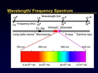 Wavelength/ Frequency Spectrum
Long radio waves Microwaves X-rays Gamma rays
TV, FM Infrared Ultraviolet
700 nm 600 nm 500 nm 400 nm
4.5x1014 Hz 5x1014 Hz 6x1014 Hz 7x1014 Hz
 