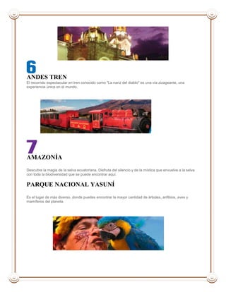 ANDES TREN
El recorrido espectacular en tren conocido como "La nariz del diablo" es una vía zizageante, una
experiencia única en el mundo.

AMAZONÍA
Descubre la magia de la selva ecuatoriana. Disfruta del silencio y de la mística que envuelve a la selva
con toda la biodiversidad que se puede encontrar aquí.

PARQUE NACIONAL YASUNÍ
Es el lugar de más diverso, donde puedes encontrar la mayor cantidad de árboles, anfibios, aves y
mamíferos del planeta.

 