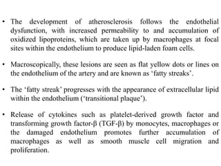 • The development of atherosclerosis follows the endothelial
dysfunction, with increased permeability to and accumulation of
oxidized lipoproteins, which are taken up by macrophages at focal
sites within the endothelium to produce lipid-laden foam cells.
• Macroscopically, these lesions are seen as flat yellow dots or lines on
the endothelium of the artery and are known as ‘fatty streaks’.
• The ‘fatty streak’ progresses with the appearance of extracellular lipid
within the endothelium (‘transitional plaque’).
• Release of cytokines such as platelet-derived growth factor and
transforming growth factor-β (TGF-β) by monocytes, macrophages or
the damaged endothelium promotes further accumulation of
macrophages as well as smooth muscle cell migration and
proliferation.
 