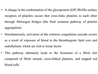 • A change in the conformation of the glycoprotein (GP) IIb/IIIa surface
receptors of platelets occurs that cross-links platelets to each other
through fibrinogen bridges (the final common pathway of platelet
aggregation).
• Simultaneously, activation of the extrinsic coagulation cascade occurs
as a result of exposure of blood to the thrombogenic lipid core and
endothelium, which are rich in tissue factor.
• This pathway ultimately leads to the formation of a fibrin clot
composed of fibrin strands, cross-linked platelets, and trapped red
blood cells.
 