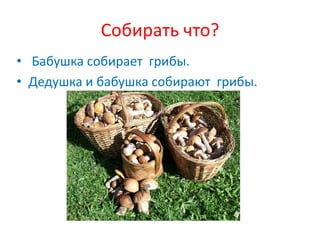 Собирать что?
• Бабушка собирает грибы.
• Дедушка и бабушка собирают грибы.
 