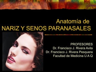 Anatomía de
NARIZ Y SENOS PARANASALES
PROFESORES
Dr. Francisco J. Rivera Avila
Dr. Francisco J. Rivera Pesquera
Facultad de Medicina U A Q
 