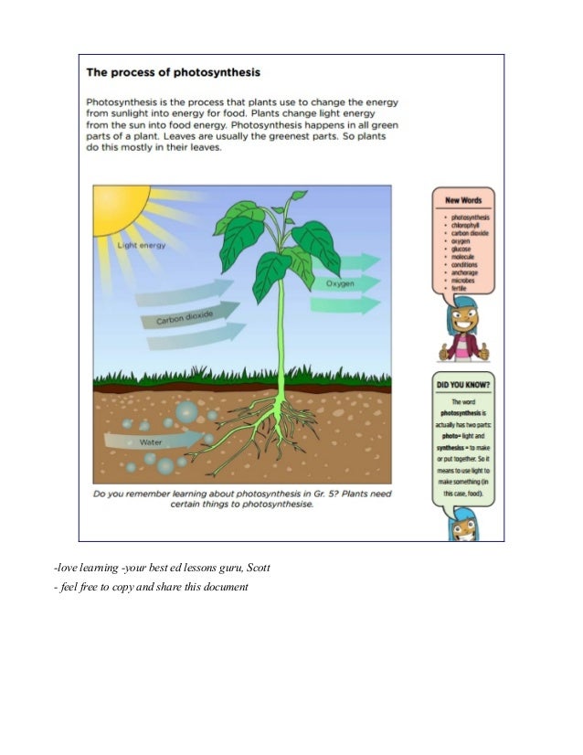 4 natural science and technology textbooks with videos grades 4 6