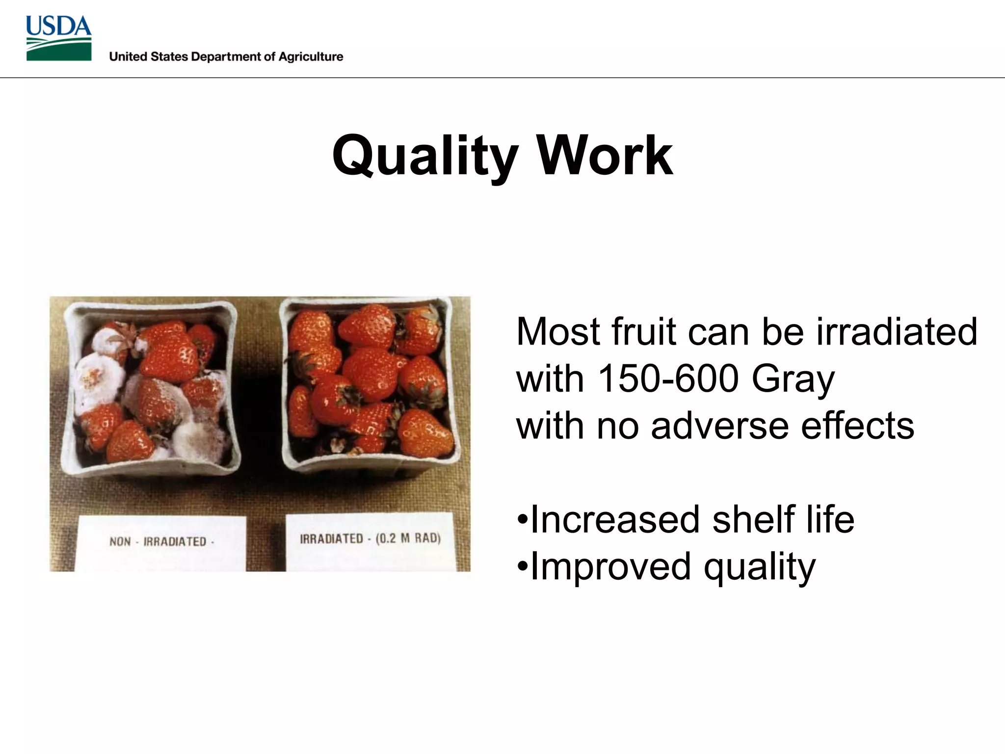 Slide 13