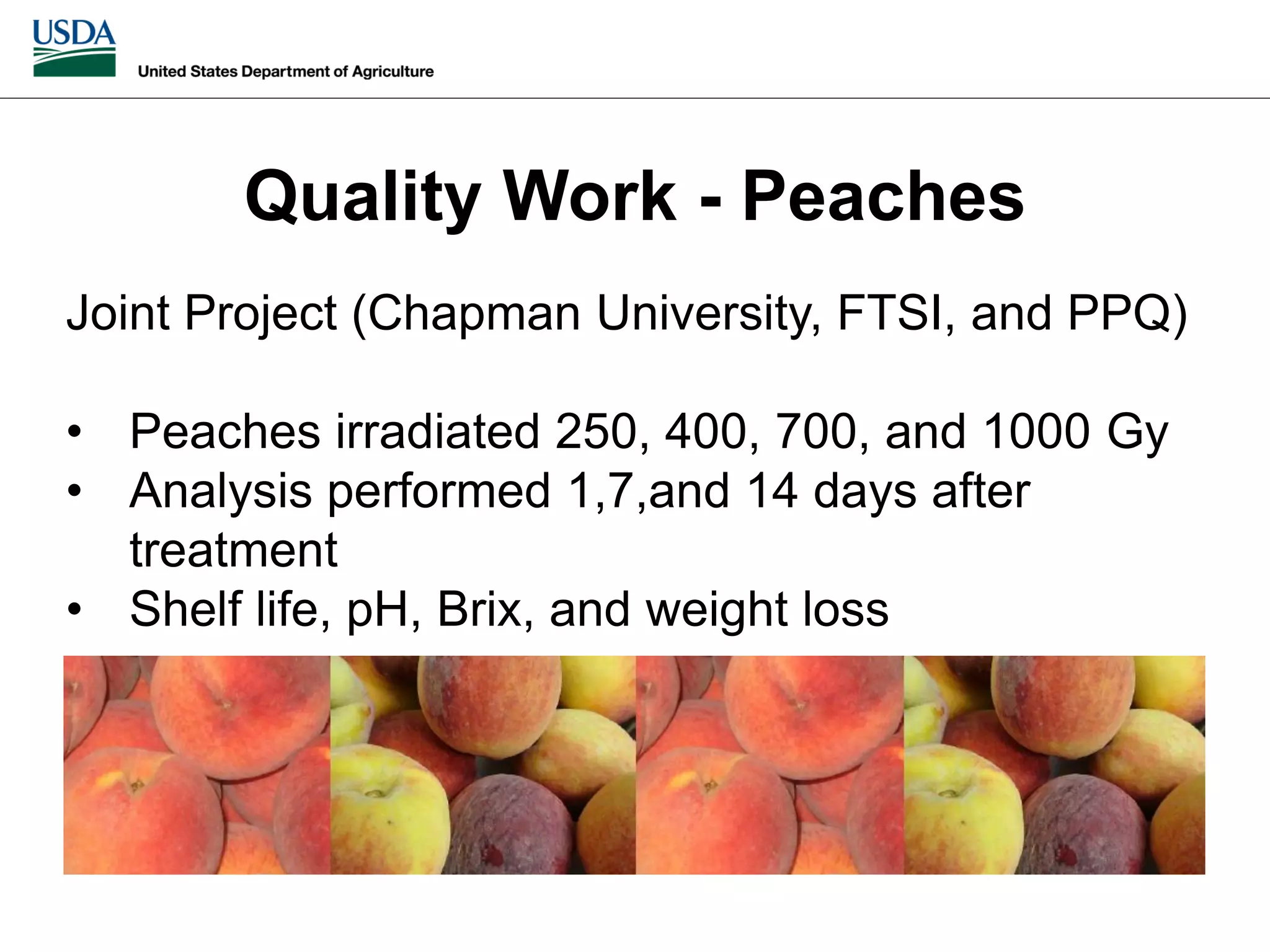 Slide 15