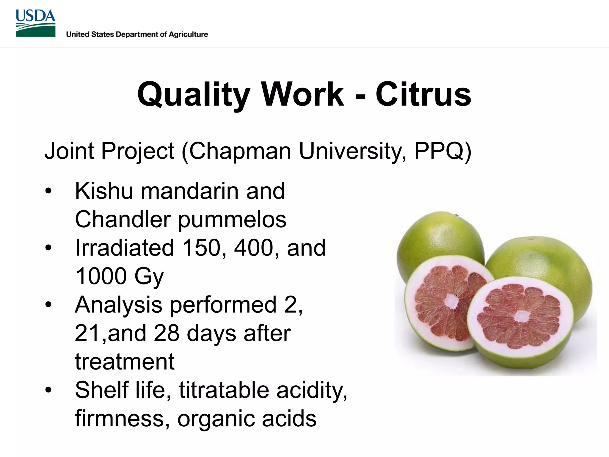 Slide 19