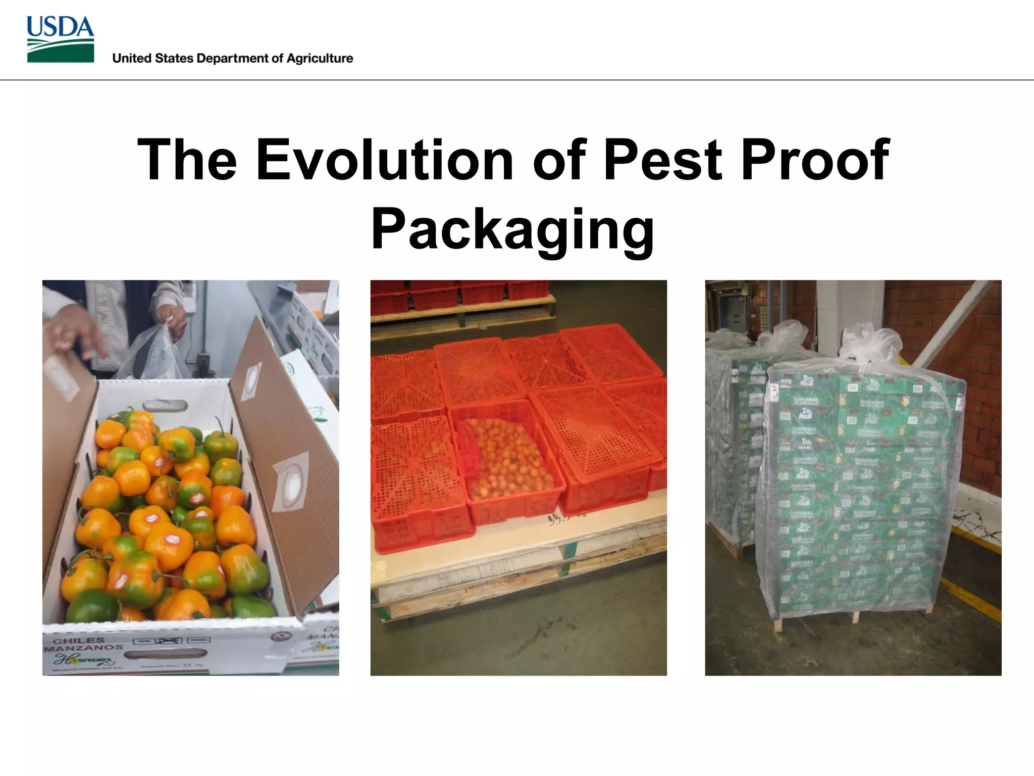 Slide 24