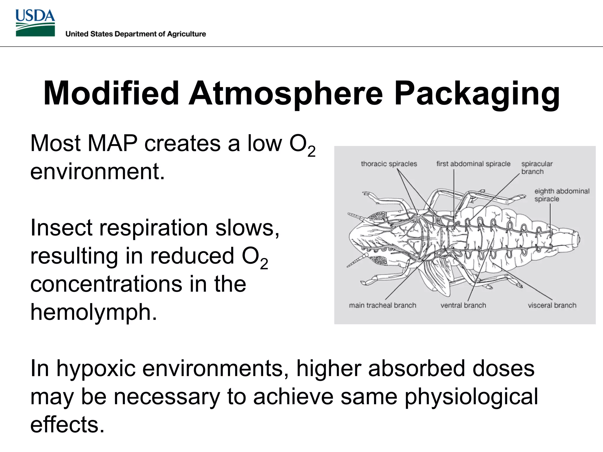 Slide 28