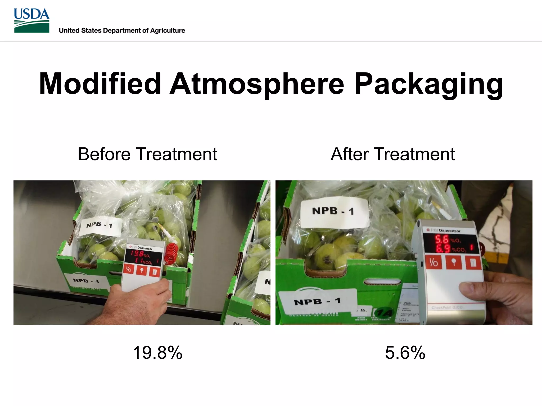 Slide 31