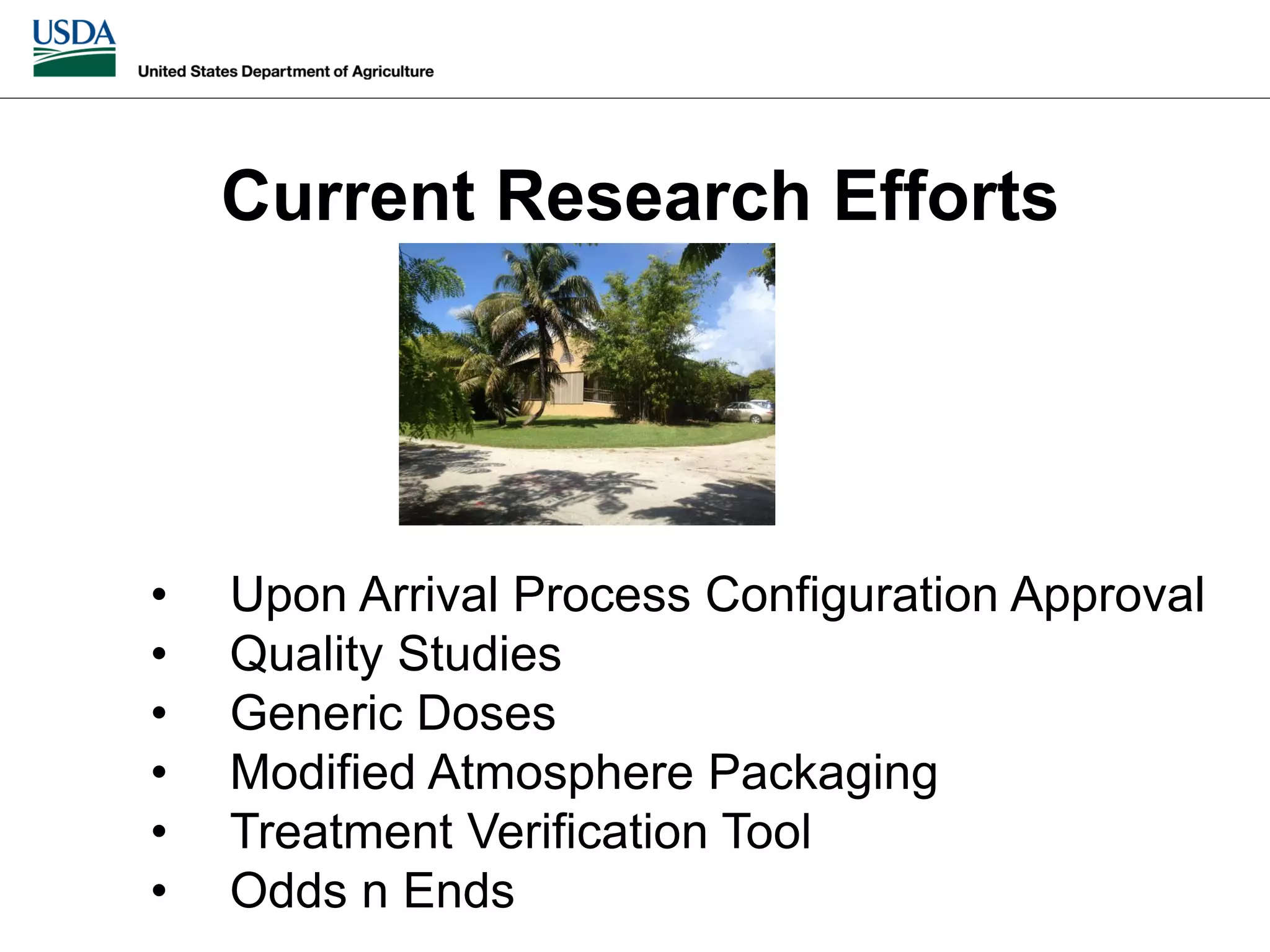 Slide 6