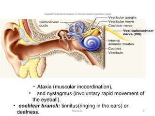 Movement Cochlear Anatomy of The Nervous System ambo-1.pptx