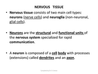 NERVOUS TISSUE
• Nervous tissue consists of two main cell types:
neurons (nerve cells) and neuroglia (non-neuronal,
glial cells).
• Neurons are the structural and functional units of
the nervous system specialized for rapid
communication.
• A neuron is composed of a cell body with processes
(extensions) called dendrites and an axon.
Compiled by Dr. D. Simon
 