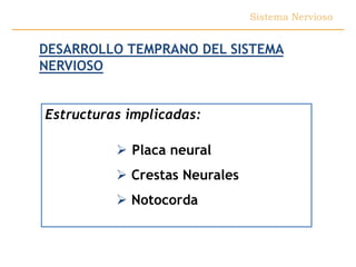 Sistema Nervioso


DESARROLLO TEMPRANO DEL SISTEMA
NERVIOSO


Estructuras implicadas:

           Placa neural
           Crestas Neurales
           Notocorda
 