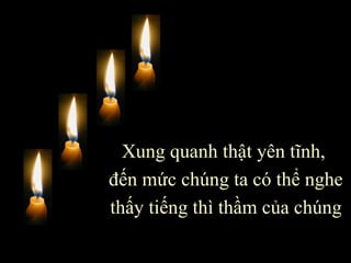 Xung quanh thật yên tĩnh,  đến mức chúng ta có thể nghe thấy tiếng thì thầm của chúng 