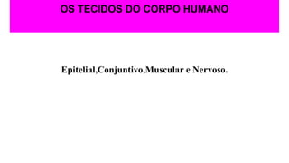 OS TECIDOS DO CORPO HUMANO
Epitelial,Conjuntivo,Muscular e Nervoso.
 