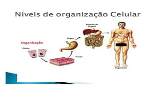 Pesquisa
Explique todas as pesquisas que você fez sobre esse
problema/desafio.
Qual foi o objetivo da sua pesquisa? Explique como você
descobriu o assunto e cite as pessoas que o ajudaram!
 