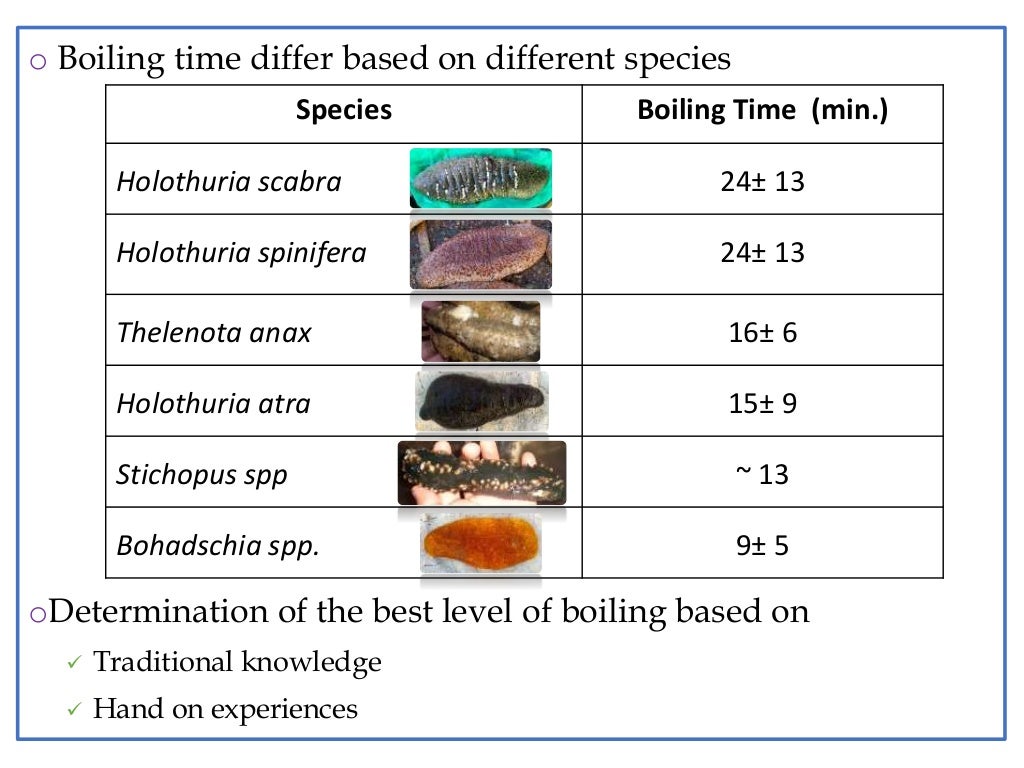 Processing of sea cucumbers to bêchedemer A case study from Sri La…