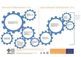 National Affirmations (11) International Affirmations (11)
Policy
Framework
(5)
Legislation
System (6)
Institutions and
Capacity
Building (6)
Sustainable Forest
Management (13)
Rural
Development,
Livelihoods
and Poverty
Alleviation (4)
Trade and
Customs
(1)
Indicative
List of
Actions
Trade and
Customs (6)
Research
(1)
Collaborative
Implementation
Actions (7)
Forest-
related
Policies (1)
 