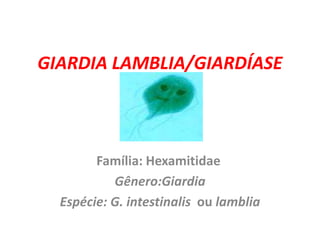 GIARDIA LAMBLIA/GIARDÍASE 
Família: Hexamitidae 
Gênero:Giardia 
Espécie: G. intestinalis ou lamblia 
 