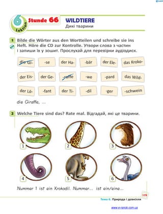 Le kt
ion
179
Тема 6. Природа і довкілля
6 WILDTIERE
Дикі тварини
Stunde 66
1 Bilde die Wörter aus den Wortteilen und schreibe sie ins
Heft. Höre die CD zur Kontrolle. Утвори слова з частин
і запиши їх у зошит. Прослухай для перевірки аудіодиск.
die Gi-
der Lö-
der Eis-
-se
-fant
der Ge-
der Ha-
der Ti-
-raffe
-bär
-dil
das Kroko-
-schwein
-we das Wild-
der Ele-
-ger
-pard
die Giraffe, …
2 Welche Tiere sind das? Rate mal. Відгадай, які це тварини.
1
4
2
5
3
6
Nummer 1 ist ein Krokodil. Nummer… ist ein/eine…
1
2
www.e-ranok.com.ua
 