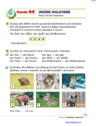 Le kt
ion
173
Тема 6. Природа і довкілля
6 UNSERE WALDTIERE
Наші лісові тварини
Stunde 64
1 Ersetze die Ziffern durch passende Buchstaben und schreibe
das Lösungswort ins Heft. Заміни цифри відповідними
літерами й запиши слово-відгадку в зошит.
Der 1olf, der H2se, der Ige3, das Wil4schwein.
1 2 3 4
Lösungswort:
2 a) Höre zu und sprich nach. Прослухай і повтори.
der Bär — die Bären der Igel — die Igel
der Fuchs — die Füchse der Wolf — die Wölfe
der Hase — die Hasen das Wildschwein — die Wildschweine
b) Ordne die Wörter aus Übung 2a den Fotos zu und erzähle.
Добери слова з вправи 2а до фотографій і розкажи.
3
6
2
5
1
4
Auf Foto … ist ein…
1
2
www.e-ranok.com.ua
 