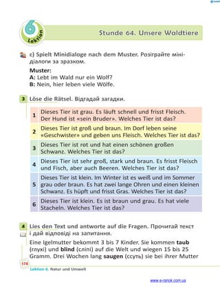 Le ktion
174
Lektion 6. Natur und Umwelt
6 Stunde 64. Unsere Waldtiere
с) Spielt Minidialoge nach dem Muster. Розіграйте міні-
діалоги за зразком.
Muster:
A: Lebt im Wald nur ein Wolf?
B: Nein, hier leben viele Wölfe.
3 Löse die Rätsel. Відгадай загадки.
1
Dieses Tier ist grau. Es läuft schnell und frisst Fleisch.
Der Hund ist «sein Bruder». Welches Tier ist das?
2
Dieses Tier ist groß und braun. Im Dorf leben seine
«Geschwister» und geben uns Fleisch. Welches Tier ist das?
3
Dieses Tier ist rot und hat einen schönen großen
Schwanz. Welches Tier ist das?
4
Dieses Tier ist sehr groß, stark und braun. Es frisst Fleisch
und Fisch, aber auch Beeren. Welches Tier ist das?
5
Dieses Tier ist klein. Im Winter ist es weiß und im Sommer
grau oder braun. Es hat zwei lange Ohren und einen kleinen
Schwanz. Es hüpft und frisst Gras. Welches Tier ist das?
6
Dieses Tier ist klein. Es ist braun und grau. Es hat viele
Stacheln. Welches Tier ist das?
4 Lies den Text und antworte auf die Fragen. Прочитай текст
і дай відповіді на запитання.
Eine Igelmutter bekommt 3 bis 7 Kinder. Sie kommen taub
(глухі) und blind (сліпі) auf die Welt und wiegen 15 bis 25
Gramm. Drei Wochen lang saugen (ссуть) sie bei ihrer Mutter
3
4
www.e-ranok.com.ua
 