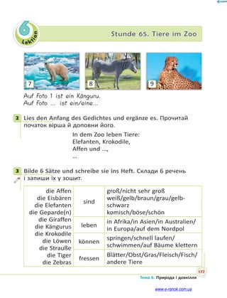 Le kt
ion
177
Тема 6. Природа і довкілля
6 Stunde 65. Tiere im Zoo
987
Auf Foto 1 ist ein Känguru.
Auf Foto … ist ein/eine…
2 Lies den Anfang des Gedichtes und ergänze es. Прочитай
початок вірша й доповни його.
In dem Zoo leben Tiere:
Elefanten, Krokodile,
Affen und …,
…
3 Bilde 6 Sätze und schreibe sie ins Heft. Склади 6 речень
і запиши їх у зошит.
die Affen
die Eisbären
die Elefanten
die Geparde(n)
die Giraffen
die Kängurus
die Krokodile
die Löwen
die Strauße
die Tiger
die Zebras
sind
groß/nicht sehr groß
weiß/gelb/braun/grau/gelb-
schwarz
komisch/böse/schön
leben
in Afrika/in Asien/in Australien/
in Europa/auf dem Nordpol
können
springen/schnell laufen/
schwimmen/auf Bäume klettern
fressen
Blätter/Obst/Gras/Fleisch/Fisch/
andere Tiere
2
3
www.e-ranok.com.ua
 