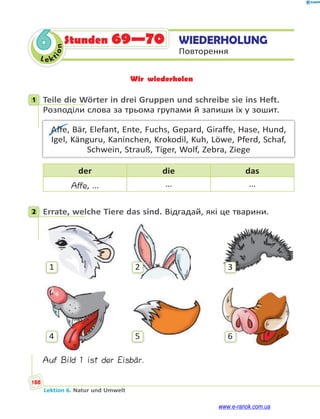 Le ktion
188
Lektion 6. Natur und Umwelt
6 WIEDERHOLUNG
Повторення
Stunden 69—70
Wir wiederholen
1 Teile die Wörter in drei Gruppen und schreibe sie ins Heft.
Розподіли слова за трьома групами й запиши їх у зошит.
Affe, Bär, Elefant, Ente, Fuchs, Gepard, Giraffe, Hase, Hund,
Igel, Känguru, Kaninchen, Krokodil, Kuh, Löwe, Pferd, Schaf,
Schwein, Strauß, Tiger, Wolf, Zebra, Ziege
der die das
Affe, … … …
2 Errate, welche Tiere das sind. Відгадай, які це тварини.
1
4
2
5
3
6
Auf Bild 1 ist der Eisbär.
1
2
www.e-ranok.com.ua
 