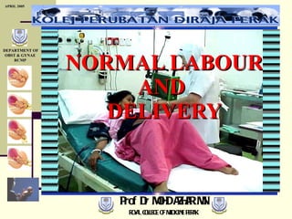 NORMAL LABOUR AND  DELIVERY Prof Dr MOHD AZHAR MN ROYAL COLLEGE OF MEDICINE PERAK APRIL 2005 DEPARTMENT OF OBST & GYNAE RCMP 