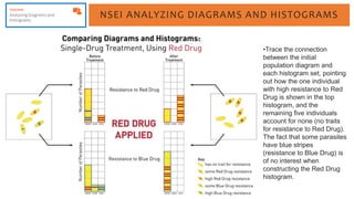NSEI ANALYZING DIAGRAMS AND HISTOGRAMS
•Trace the connection
between the initial
population diagram and
each histogram set, pointing
out how the one individual
with high resistance to Red
Drug is shown in the top
histogram, and the
remaining five individuals
account for none (no traits
for resistance to Red Drug).
The fact that some parasites
have blue stripes
(resistance to Blue Drug) is
of no interest when
constructing the Red Drug
histogram.
 