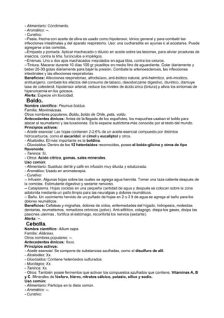 - Alimentario: Condimento.
- Aromático: --.
- Curativo:
--Pasta. Hecha con aceite de oliva es usado como hipotensor, tónico general y para combatir las
infecciones intestinales y del aparato respiratorio. Uso: una cucharadita en ayunas o al acostarse. Puede
agregarse a las comidas.
--Empasto y pomada. Aplicar machacado o diluido en aceite sobre las lesiones, para aliviar picaduras de
insectos, contra la tiña, furúnculos e impétigos.
--Enemas. Uno o dos ajos machacados mezclados en agua tibia, contra los oxiuros.
--Tintura. Macerar durante 10 días 100 gr picaditos en medio litro de aguardiente. Colar diariamente y
beber 20-30 gotas diariamente para bajar la presión. Combate la arterioesclerosis, las infecciones
intestinales y las afecciones respiratorias.
Beneficios: Afecciones respiratorias, afrodisíaco, anti-biótico natural, anti-helmítico, anti-micótico,
antitusígeno, combate los efectos del consumo de tabaco, desodorizante digestivo, diurético, dismuye
tasa de colesterol, hipotensor arterial, reduce los niveles de ácido úrico (tintura) y alivia los síntomas de
hiperuricemia en los gotosos.
Alerta: Especie sin toxicidad.
Boldo.
Nombre científico: Peumus boldus.
Familia: Monimiáceas.
Otros nombres populares: Boldu, boldo de Chile, peta, voldu.
Antecedentes étnicos: Antes de la llegada de los españoles, los mapuches usaban el boldo para
atacar el reumatismo y las luxaciones. Es la especie autóctona más conocida por el resto del mundo.
Principios activos:
- Aceite esencial: Las hojas contienen 2-2,6% de un aceite esencial compuesto por distintos
hidrocarburos, como el ascaridol, el cimol y eucaliptol y otros.
- Alcaloides: El más importante es la boldina.
- Glucósidos: Dentro de los 12 heterósidos reconocidos, posee el boldo-glicina y otros de tipo
flavonoide.
- Taninos: Sí.
- Otros: Acido cítrico, gomas, sales minerales.
Uso común:
- Alimentario: Sustituto del té y café en infusión muy diluída y edulcorada.
- Aromático: Usado en aromaterapia.
- Curativo:
-- Infusión. Algunas hojas sobre las cuales se agrega agua hervida. Tomar una taza caliente después de
la comidas. Estimulante digestivo y sedante nervioso.
-- Cataplasma. Hojas cocidas en una pequeña cantidad de agua y después se colocan sobre la zona
adolorida mediante un paño limpio para las neuralgias y dolores reumáticos.
-- Baño. Un cocimiento hervido de un puñado de hojas en 2 o 3 lt de agua se agrega al baño para los
dolores reumáticos.
Beneficios: Cefaleas y migrañas, dolores de oídos, enfermedades del hígado, hidropesía, molestias
dentarias, reumatismos, romadizos crónicos (polvo). Anti-sifilítico, colagogo, disipa los gases, disipa las
pasiones uterinas , fortifica el estómago, reconforta los nervios (sedante).
Alerta: --.
Cebolla.
Nombre científico: Allium cepa.
Familia: Aliáceas.
Otros nombres populares: --.
Antecedentes étnicos: Xxxx.
Principios activos:
- Aceite esencial: Se compone de substancias azufradas, como el disulfuro de alil.
- Alcaloides: Xx.
- Glucósidos: Contiene heterósidos sulfurados.
- Mucílagos: Xx.
- Taninos: Xx.
- Otros: También posee fermentos que activan los compuestos azufrados que contiene. Vitaminas A, B
y C. Minerales de fósforo, hierro, nitratos cálcico, potasio, sílice y sodio.
Uso común:
- Alimentario: Participa en la dieta común.
- Aromático: --.
- Curativo:
 