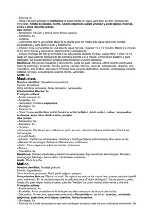 - Taninos: Si.
- Otros: Principio amargo: la marrubina es poco soluble en agua, pero bien en éter. Substancias
minerales: nitrato de potasio, hierro. Acidos orgánicos: ácido ursólico y ácido gálico. Resinas,
ceras y otras materias grasas.
Uso común:
- Alimentario: Infusión y tintura como tónico bajativo.
- Aromático: Xx.
- Curativo:
--Cocimiento. Hervir un puñado chico de la planta seca en medio lt de agua para lavar heridas
eccematosas y para lavar el pelo y fortalecerlo.
--Infusión. Dos cucharaditas en una taza de agua hervida. Reposar 10 a 15 minutos. Beber 2 a 3 tazas
al día como tónica y depurativa, expectorante y adelgazante.
--Tintura. Remojar 50-100 gr en medio lt de aguardiente durante 10 días. Luego filtrar. Tomar 10-15
gotas en agua caliente después de las comidas durante 2 o 3 meses. Como tónico bajativo y para
adelgazar. Se pueden también emplear para friccionar el cuero cabelludo.
Beneficios: Afecciones hepáticas y del corazón, caida del pelo, cálculos, calma dolores mentruales,
dolor de estómago, eccemas, fiebres, granos, heridas, ictericia, vesícula. Adelgazante, alopesía, anti-
rreumático, anti-pirético, depurativo (limpieza de la sangre), diaforético, diurético, emenagoga, exitante
sistema nervioso, expectorante, laxante, tónico, vulnerario.
Alerta: Xx.
Mastuerzo.
Nombre científico: Capsella bursa-pastoris.
Familia: Crucíferas.
Otros nombres populares: Bolsa del pastor, paniquesillo.
Antecedentes étnicos: Xx.
Principios activos:
- Aceite esencial: Xx.
- Alcaloides: Xx.
- Glucósidos: Contiene saponinas.
- Mucílagos: Xx.
- Taninos: Si.
- Otros: Posee acetilcolina, ácido fumárico, ácido tartárico, ácido málico, colina, compuestos
azufrados, esparteína. Acido cítrico, potasio.
Uso común:
- Alimentario: Xx.
- Aromático: Xx.
- Curativo:
--Cocimiento. Cocida en vino o diluido su polvo en vino, calma los dolores intestinales. Contra las
hemorragias.
--Extracto fluído.
--Infusión. Trastornos estomacales. Diurética y febrífuga (fiebres intermitentes). Dos veces al día.
--Maceración en vinagre. Refresca inflamaciones, irritaciones.
--Polvo. Eficaz esparcido sobre las heridas. Vulneraria.
--Tintura.
- Cosmética: Xx.
Beneficios: Dolores intestinales y trastornos estomacales, flujo menstrual, hemorragias. Diurético,
emenagogo, febrífugo, hemostático, hipotensivo, vulnerario.
Alerta: Corta la leche.
Matico.
Nombre científico: Buddeja globosa.
Familia: Loganiáceas.
Otros nombres populares: Panil, pañil, palguin, panguin.
Antecedentes étnicos: Planta nacional. Se registra su uso por los mapuches, quienes usaban el pañil
como vulnerario. En la curativa mapuche es utilizada para el "dolor de hígado": ñanco, peumo, poleo,
hinojo, tilo, palo negro, matico y cardo; para las "heridas" se usan: matico, siete venas y vira vira.
Principios activos:
- Aceite esencial: Xx.
- Alcaloides: A sus alcaloides se le atribuyen su efecto relajador de la musculatura lisa.
- Glucósidos: Numerosos, especialemente de tipo flavonoides en las flores: acaetina, rutinósido,
apigenina, quercitina; en la hojas: luteolina, hidroxi-luteolina
- Mucílagos: Xx.
- Taninos: Es a este compuesto al que se le atribuyen la mayor parte de sus cualidades vulnerarias. Se
 