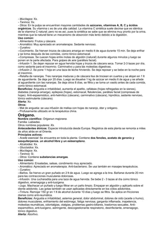 - Mucílagos: Xx.
- Taninos: Xx.
- Otros: En la pulpa se encuentran mayores cantidades de azúcares, vitaminas A, B, C y ácidos
orgánicos. Su vitamina c es de una alta calidad. La vitamina C sintética suele decirse que es idéntica
de la vitamina C natural; pero no es así, pues la sintética se sabe que se elimina muy pronto por la orina,
mientras que la natural tiene un mecanismo de absorción más lento debido a la digestión.
Uso común:
- Alimentario: Frutos y cáscara.
- Aromático: Muy apreciado en aromaterapia. Sedante nervioso.
- Curativo:
--Cocimiento. Se hierven trozos de cáscara amarga en medio lt de agua durante 15 min. Se deja enfriar
y se toma después de las comidas, como tónico estomacal.
--Compresas. Se cuecen hojas entre motas de algodón (natural) durante algunos minutos y luego se
ponen en la parte afectada. Para golpes de aire (parálisis facial).
--Infusión 1. Se dejan repozar en agua hervida hojas y trozos de cáscara seca. Tomar 2-3 tazas por día,
como sedante para el insomnio. Carminativo y para las molestias digestivas.
--Infusión 2. Se pone 1 hoja en una taza de leche hirviendo. Se deja reposar y se bebe en la noche para
el insomnio.
--Retafia de naranjas. Tres naranjas maduras y de cáscara lisa de trocean en cuartos y se alojan en 1 lt
de aguardiente. Se deja por 20 días. Luego se disuelve 1 kg de azúcar en medio lt de agua y se añade
al aguardiente con las naranjas. Se deja otros 8 días, se filtra y se toma un vasito antes de cada comida,
como tónico estomacal.
Beneficios: Angustia e irritabilidad, aumenta el apetito, cefaleas (hojas refregadas en la sienes),
diabetes (naranja amarga), epilepsia (hojas), estomacal, flatulencias, parálisis facial (compresas de
hojas). Anti-espasmódico, anti-helmítico (cáscara), carminativo (cáscara), hipnótico, sedante nervioso,
tónico estimulante (cáscara).
Alerta: Xx.
Otros:
- Mal de angustia: se usa infusión de melisa con hojas de naranjo, éter y orégano.
- Profusamente utilizado en la terapéutica china.
Orégano.
Nombre científico: Origanun majorana.
Familia: Labiadas.
Otros nombres populares: Xx.
Antecedentes étnicos: Especie introducida desde Europa. Registros de esta planta se remonta a miles
de años atrás en el Oriente.
Principios activos:
- Aceite esencial: Se encuentra en toda la planta. Contiene dos fenoles, acetato de geranio y
sesquiterpenos, un alcohol libre y un estearopteno.
- Alcaloides: Xx.
- Glucósidos: Xx.
- Mucílagos: Xx.
- Taninos: Si.
- Otros: Contiene substancias amargas.
Uso común:
- Alimentario: Ensaladas, salsas, condimento muy apreciado.
- Aromático: Apreciado en aromaterapia. Anti-bacteriano. Se usa tambén en masajes terapéuticos.
- Curativo:
--Baños. Se hierve un gran puñado en 2 lt de agua. Luego se agrega a la tina. Bañarse durante 20 min
para las contracciones musculares dolorosas.
--Infusión. Una cucharadita para una taza de agua hervida. Se bebe 2 - 3 tazas al día como tónico
digestivo, emenagoga y anti-tusígena.
--Jugo. Machacar un puñado y luego filtrar en un paño limpio. Empapar en algodón y aplicarlo sobre el
diente adolorido. Las gotas también se usan aplicadas directamente en los oídos adoloridos.
--Tintura. Remojar 150 gr en 1 lt de alcohol durante 10 días y luego se filtra. Se aplica en fricciones
diarias como anti-reumática.
Beneficios: Angustia e irritabilidad, astemia general, dolor abdominal, dolores de oido (aceite o humo),
dolores musculares, enfriamiento del estómago, fatiga nerviosa, garganta inflamada, inapetencia,
molestias reumáticas, odontalgias, otalgias, problemas gastro-biliares, trastornos sexuales. Anti-
espamolítico, anti-tusígeno, astringente, descogestionante respiratorio, desinfectante, emenagogo,
tónico digestivo.
Alerta: Abortivo.
 