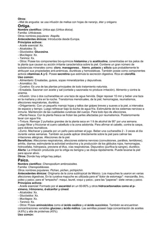 Otros:
--Mal de angustia: se usa infusión de melisa con hojas de naranjo, éter y orégano
Ortiga.
Nombre científico: Urtica spp (Urtica dioica).
Familia: Urticáceas.
Otros nombres populares: Atapilla.
Antecedentes étnicos: Introducida desde Europa.
Principios activos:
- Aceite esencial: Xx.
- Alcaloides: Si.
- Glucósidos: Glucosina.
- Mucílagos: Xx.
- Taninos: Xx.
- Otros: Posee los componentes bio-químicos histamina y la acetilcolina, conentradas en los pelos de
la planta que causan su acción irritante característica sobre la piel. Contiene un gran número de
substancias minerales como: cloro, managaneso, , hierro, potasio y silicio que probablemente le
atribuyan sus propiedades anti-anémicas, diuréticas y hemostáticas. También posee como componentes
activos vitaminas A y C. Posee secretina que estimula la secreción digestiva. Rica en clorofila.
Uso común:
- Alimentario: Ensaladas, guisos, sopas mineralizantes y depurativas.
- Aromático: Xx.
- Curativo: Es una de las plantas principales de todo tratamiento naturista.
--Ensalada. Sazonar con aceite y sal (cortada y sazonada no produce irritación). Alimento y contra la
anemia.
--Infusión. Una o dos cucharaditas en una taza de agua hervida. Dejar reposar 10 min y beber una taza
en la mañana y otra en la noche. Transtornos menstruales, de la piel, hemorragias, reumatismos,
afecciones respiratorias, diurética.
--Ortigamiento. Con un pequeño manojo hojas y tallos dar golpes breves y suaves a la piel, a intervalos
de espacio y tiempo. Luego refrescar bajo la ducha de agua fría. Estimulante de los sistemas nervioso e
inmune. Mantención de las cualidades curativas del cuerpo. Para todo tipo de afecciones.
--Planta fresca. Con la planta fresca se frotan las partes afectadas por reumatismos. Posteriormente
lavar con agua fría.
--Tintura. Remojar 2 puñados grandes de la planta seca en 1 lt de alcohol de 90° por una semana.
Luego filtrar y friccionar el cuero cabelludo o la zona adolorida. Para afirmar el cabello, contra la caspa,
para dolores reumáticos.
--Zumo. Machacar y pasarla por un paño para extraer el jugo. Beber una cucharadita 2 - 3 veces al día
durante varias semanas. También se puede aplicar directamente sobre la piel para calmar las
irritaciones alérgicas. Afecciones de la piel.
Beneficios: Afecciones respiratorias, afecciones sistema nervioso (convulsiones, parálisis, temblores),
artritis, diarrea, estimulante la actividad endocrina y la producción de los glóbulos rojos, hemorragias,
hidrocefalia, hidropesía, previene el tifus, vías respiratorias. Depurativo (purifica la sangre), diurético.
Alerta: La irritación producida por la ortiga es benigna y se disipa rápidamente. Puede lavarse la piel
para apurar alivio.
Otros: Donde hay ortiga hay palqui.
Paico.
Nombre científico: Chenopodium ambrosioides.
Familia: Chenopodiáceas.
Otros nombres populares: Pichan, pichen, pichipichin.
Antecedentes étnicos: Originaria de la zona subtropical de México. Los mapuches la usaron en varias
afecciones digestivas. En la curativa mapuche es utilizada para el "dolor de estomago": manzanilla, lino,
poleo y paico; para el "empacho": maqui, laurel, voqui y paico.; para las "paperas": siete venas y paico.
Principios activos:
- Aceite esencial: Formado por el ascaridol en un 60-80% y otros hidrocarbonados como el p-
ximeno, l-limoneno, d-alcanfor y cineol.
- Alcaloides: Xx.
- Glucósidos: Xx.
- Mucílagos: Xx.
- Taninos: Xx.
- Otros: Posee aminoácidos como el ácido oxálico y el ácido succínico. También se encuentran
concentraciones variables glucosa y ácido málico. Las semillas poseen baja concentración de aceites
(4,6%) y alta de proteínas (45%).
Uso común:
 
