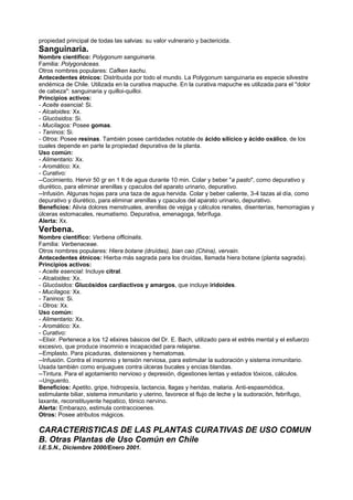 propiedad principal de todas las salvias: su valor vulnerario y bactericida.
Sanguinaria.
Nombre científico: Polygonum sanguinaria.
Familia: Polygonáceas.
Otros nombres populares: Cafken kachu.
Antecedentes étnicos: Distribuida por todo el mundo. La Polygonum sanguinaria es especie silvestre
endémica de Chile. Utilizada en la curativa mapuche. En la curativa mapuche es utilizada para el "dolor
de cabeza": sanguinaria y quilloi-quilloi.
Principios activos:
- Aceite esencial: Si.
- Alcaloides: Xx.
- Glucósidos: Si.
- Mucílagos: Posee gomas.
- Taninos: Si.
- Otros: Posee resinas. También posee cantidades notable de ácido silícico y ácido oxálico, de los
cuales depende en parte la propiedad depurativa de la planta.
Uso común:
- Alimentario: Xx.
- Aromático: Xx.
- Curativo:
--Cocimiento. Hervir 50 gr en 1 lt de agua durante 10 min. Colar y beber "a pasto", como depurativo y
diurético, para eliminar arenillas y cpaculos del aparato urinario, depurativo.
--Infusión. Algunas hojas para una taza de agua hervida. Colar y beber caliente, 3-4 tazas al día, como
depurativo y diurético, para eliminar arenillas y cpaculos del aparato urinario, depurativo.
Beneficios: Alivia dolores menstruales, arenillas de vejiga y cálculos renales, disenterías, hemorragias y
úlceras estomacales, reumatismo. Depurativa, emenagoga, febrífuga.
Alerta: Xx.
Verbena.
Nombre científico: Verbena officinalis.
Familia: Verbenaceae.
Otros nombres populares: Hiera botane (druídas), bian cao (China), vervain.
Antecedentes étnicos: Hierba más sagrada para los druídas, llamada hiera botane (planta sagrada).
Principios activos:
- Aceite esencial: Incluye citral.
- Alcaloides: Xx.
- Glucósidos: Glucósidos cardiactivos y amargos, que incluye iridoides.
- Mucílagos: Xx.
- Taninos: Si.
- Otros: Xx.
Uso común:
- Alimentario: Xx.
- Aromático: Xx.
- Curativo:
--Elixir. Pertenece a los 12 elixires básicos del Dr. E. Bach, utilizado para el estrés mental y el esfuerzo
excesivo, que produce insomnio e incapacidad para relajarse.
--Emplasto. Para picaduras, distensiones y hematomas.
--Infusión. Contra el insomnio y tensión nerviosa, para estimular la sudoración y sistema inmunitario.
Usada también como enjuagues contra úlceras bucales y encias blandas.
--Tintura. Para el agotamiento nervioso y depresión, digestiones lentas y estados tóxicos, cálculos.
--Unguento.
Beneficios: Apetito, gripe, hidropesía, lactancia, llagas y heridas, malaria. Anti-espasmódica,
estimulante biliar, sistema inmunitario y uterino, favorece el flujo de leche y la sudoración, febrífugo,
laxante, reconstituyente hepatico, tónico nervino.
Alerta: Embarazo, estimula contraccioenes.
Otros: Posee atributos mágicos.
CARACTERISTICAS DE LAS PLANTAS CURATIVAS DE USO COMUN
B. Otras Plantas de Uso Común en Chile
I.E.S.N., Diciembre 2000/Enero 2001.
 