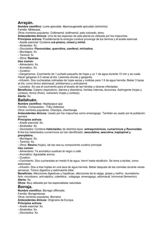 Arrayán.
Nombre científico: Luma apiculata. Myerceugenella apiculata (sinónimo).
Familia: Mirtáceas.
Otros nombres populares: Collimamol, kollimamül, palo colorado, temu.
Antecedentes étnicos: Una de las especies de esta planta es utilizada por los mapuches.
Principios activos: Posiblemente la sinergia curativa provenga de los taninos y el aceite esencial.
- Aceite esencial: Contiene a-b pineno, cineol y mirtol.
- Alcaloides: Xx.
- Glucósidos: Flavonoides, quercitina, camferol, miricetina.
- Mucílagos: Xx.
- Taninos: Si.
- Otros: Resinas.
Uso común:
- Alimentario: Xx.
- Aromático: Xx.
- Curativo:
--Gargarismos. Cocimiento de 1 puñado pequeño de hojas y un 1 de agua durante 15 min y se cuela.
Hacer gárgaras 2-3 veces al día. Lesiones encías y garganta.
--Infusión. Dos cucharadas colmadas de hojas secas y molidas para 1 lt de agua hervida. Beber 3 tazas
al día, como tónico estomacal, antidiarreico y anticatarral.
--Lavados. Se usa el cocimiento para el lavado de las heridas y úlceras infectadas.
Beneficios: Catarro respiratorio, diarrea y disentería, heridas internas, leucorrea. Astringente (hojas y
corteza), tónico (fruto), vulnerario (hojas y corteza).
Alerta: Xx.
Bailahuén.
Nombre científico: Haplopapus spp.
Familia: Compuestas - Tribu Astéreas.
Otros nombres populares: Chechjra, chechenaja.
Antecedentes étnicos: Usado por los mapuches como emenagogo. También es usado por la población
aymara.
Principios activos:
- Aceite esencial: Xx.
- Alcaloides: Xx.
- Glucósidos: Contiene heterósidos de distintos tipos: antraquinónicos, cumarínicos y flavonoides.
Entre los heterósidos cumarínicos se han identificado: aesculetina, aesculina, haplopinal y
prenyletina.
- Mucílagos: Xx.
- Taninos: Xx.
- Otros: Resina (hojas), tal vez sea su componente curativo principal.
Uso común:
- Alimentario: Té aromático sustituto té negro o café.
- Aromático: Agradable aroma.
- Curativo:
--Cocimiento. Dos cucharadas en medio lt de agua, hervir hasta ebullición. Se toma a tacitas, como
estomacal.
--Infusión. Dos a tres hojitas en una taza de agua hervida. Beber después de las comidas durante varias
semanas. Tónico digestivo y estimulante biliar.
Beneficios: Afecciones digestivas y hepáticas, afecciones de la vejiga, gripes y resfrío, reumatismo.
Anti- microbiano, anti-séptico, colerética , colagoga, emenagogo, estomacal, hormonal (femenino).
Alerta: Xx.
Otros: Muy utilizada por los especialistas naturistas.
Borraja.
Nombre científico: Borrago officinalis.
Familia: Boragináceas.
Otros nombres populares: Borraina.
Antecedentes étnicos: Originaria de Europa.
Principios activos:
- Aceite esencial: Xx.
- Alcaloides: Xx.
- Glucósidos: Xx.
 