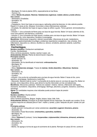 - Mucílagos: En toda la planta (30%), especialmente en las flores.
- Taninos: Xx.
- Otros: Nitrato de potasio. Resinas. Substancias orgánicas: malato cálcico y ácido silicico.
Uso común:
- Alimentario: Ensaladas.
- Aromático: Xx.
- Curativo:
--Cataplasma. Hervir las hojas en poca agua y aplicarlas sobre las lesiones, lo más caliente posible.
Repetir 2-3 veces al día. Absesos, furúnculos y otras inflamaciones cutáneas.
--Ensalada. Se calientan las hojas en agua y luego se aliñan a gusto. Tónico general, remineralizante y
laxante.
--Infusión 1. Una cucharada de flores para una taza de agua hervida. Beber 3-4 tazas calientes al día,
como anti-catarral, anti-diarreica y sudorífico.
--Infusión 2. Una cucharada de hojas secas y molidas para una taza de agua hervida. Beber 3-4 tazas
calientes al día, como depurativa, diurética y emenagoga.
Beneficios: Almorranas (unguento), dolores menstruales, infecciones de la piel, metabolismo,
problemas gastrointestinales (mucílago), problemas respiratorios congestivos, vias urinarias. Anti-
inflamatorio, depurativo (a. silicico), diurético (a. silicico), emoliente, pectoral, sedante, sudorífica.
Alerta: Abortiva.
Cachanlagua.
Nombre científico: Centaurium cachalahuen.
Familia: Gentianáceas.
Otros nombres populares: Cachen, kachan-I-awen, etc.
Antecedentes étnicos: Planta de denominación mapuche.
Principios activos:
- Aceite esencial: Xx.
- Alcaloides: Xx.
- Glucósidos: Se ha identificado el heterósido: eritrocentaurina.
- Mucílagos: Si.
- Taninos: Si.
- Otros: Substancias amargas. Trazas de resinas. Acido oleanólico. Albuminas. Xantona.
Uso común:
- Alimentario: Xx.
- Aromático: Xx.
- Curativo:
--Infusión. Una punta de cucharadita para una taza de agua hervida. Beber 2 tazas al día, como
aperitiva, emenagoga, hipotensora y sudorífica.
--Macerado. Macerar toda la noche 1 cucharadita de la planta seca en una taza de agua fría. Beber en
ayunas, como depurativa, tónica, para aliviar la neuritis intercostal y en las convalecencias.
Beneficios: Afecciones cutáneas, "dolores de costado", histeria, ictericia, inflamación del hígado,
neumonía, reumatismo. Depurativa, emenagoga, febrífuga, pleuresía, purgante, resolutiva, sudorífica,
vermífugo.
Alerta: En cantidades mayores a las indicadas puede producir bajas de presión
Canelo.
Nombre científico: Drymis winteri.
Familia: Winteráceas.
Otros nombres populares: Boigue, boighe, boique, boiye, folle, fuñe.
Antecedentes étnicos: El boigue es el árbol sagrado de los mapuches. De amplio uso curativo. En la
curativa mapuche es utilizada para el "aire": maiten y canelo; y para "después de parir: canelo con pal-
pal.
Principios activos:
- Aceite esencial: Compuesto por varias substancias: ascaridol, eugenol, limoneno, pineno.
- Alcaloides: Xx.
- Glucósidos: Posee flavonoides: cirsimaritina, quercitina, taxifalina.
- Mucílagos: Xx.
- Taninos: Si.
- Otros: Vitamina C (corteza). Varios herpenoides: criptomeridiol, drimenina, drimenol, winterina.
Uso común:
- Alimentario: Xx.
- Aromático: Xx.
- Curativo:
--Baños. Se agrega a la tina de agua el cocimiento de la planta. Remojar el cuerpo 20 min, contra el
 