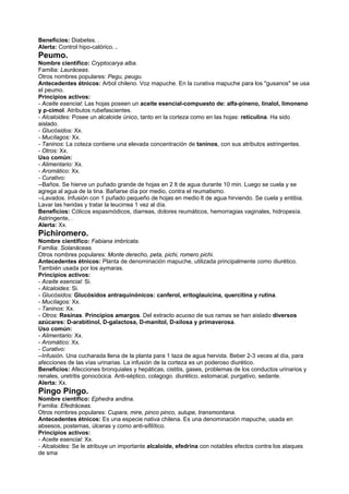 Beneficios: Diabetes. .
Alerta: Control hipo-calórico. .
Peumo.
Nombre científico: Cryptocarya alba.
Familia: Lauráceas.
Otros nombres populares: Pegu, peugu.
Antecedentes étnicos: Arbol chileno. Voz mapuche. En la curativa mapuche para los "gusanos" se usa
el peumo.
Principios activos:
- Aceite esencial: Las hojas poseen un aceite esencial-compuesto de: alfa-pineno, linalol, limoneno
y p-cimol. Atributos rubefascientes.
- Alcaloides: Posee un alcaloide único, tanto en la corteza como en las hojas: reticulina. Ha sido
aislado.
- Glucósidos: Xx.
- Mucílagos: Xx.
- Taninos: La coteza contiene una elevada concentración de taninos, con sus atributos astringentes.
- Otros: Xx.
Uso común:
- Alimentario: Xx.
- Aromático: Xx.
- Curativo:
--Baños. Se hierve un puñado grande de hojas en 2 lt de agua durante 10 min. Luego se cuela y se
agrega al agua de la tina. Bañarse día por medio, contra el reumatismo.
--Lavados. Infusión con 1 puñado pequeño de hojas en medio lt de agua hirviendo. Se cuela y entibia.
Lavar las heridas y tratar la leucirrea 1 vez al día.
Beneficios: Cólicos espasmódicos, diarreas, dolores reumáticos, hemorragias vaginales, hidropesía.
Astringente, .
Alerta: Xx.
Pichiromero.
Nombre científico: Fabiana imbricata.
Familia: Solanáceas.
Otros nombres populares: Monte derecho, peta, pichi, romero pichi.
Antecedentes étnicos: Planta de denominación mapuche, utilizada principalmente como diurético.
También usada por los aymaras.
Principios activos:
- Aceite esencial: Si.
- Alcaloides: Si.
- Glucósidos: Glucósidos antraquinónicos: canferol, eritoglauicina, quercitina y rutina.
- Mucílagos: Xx.
- Taninos: Xx.
- Otros: Resinas. Principios amargos. Del extracto acuoso de sus ramas se han aislado diversos
azúcares: D-arabitinol, D-galactosa, D-manitol, D-xilosa y primaverosa.
Uso común:
- Alimentario: Xx.
- Aromático: Xx.
- Curativo:
--Infusión. Una cucharada llena de la planta para 1 taza de agua hervida. Beber 2-3 veces al día, para
afecciones de las vías urinarias. La infusión de la corteza es un poderoso diurético.
Beneficios: Afecciones bronquiales y hepáticas, cistitis, gases, problemas de los conductos urinarios y
renales, uretritis gonocócica. Anti-séptico, colagogo. diurético, estomacal, purgativo, sedante.
Alerta: Xx.
Pingo Pingo.
Nombre científico: Ephedra andina.
Familia: Efedráceas.
Otros nombres populares: Cupara, mire, pinco pinco, sulupe, transmontana.
Antecedentes étnicos: Es una especie nativa chilena. Es una denominación mapuche, usada en
absesos, postemas, úlceras y como anti-sifilítico.
Principios activos:
- Aceite esencial: Xx.
- Alcaloides: Se le atribuye un importante alcaloide, efedrina con notables efectos contra los ataques
de sma
 