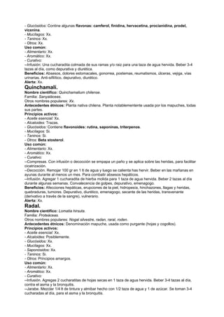 - Glucósidos: Contine algunas flavonas: camferol, finidina, hervacetina, procianidina, prodel,
vicenina.
- Mucílagos: Xx.
- Taninos: Xx.
- Otros: Xx.
Uso común:
- Alimentario: Xx.
- Aromático: Xx.
- Curativo:
--Infusión: Una cucharadita colmada de sus ramas y/o raiz para una taza de agua hervida. Beber 3-4
tazas al día, como depurativa y diurética.
Beneficios: Absesos, dolores estomacales, gonorrea, postemas, reumatismos, úlceras, vejiga, vías
urinarias. Anti-sifilítico, depurativo, diurético.
Alerta: Xx.
Quinchamalí.
Nombre científico: Quinchamalium chilense.
Familia: Sanyaláceas.
Otros nombres populares: Xx.
Antecedentes étnicos: Planta nativa chilena. Planta notablementente usada por los mapuches, todas
sus partes.
Principios activos:
- Aceite esencial: Xx.
- Alcaloides: Trazas.
- Glucósidos: Contiene flavonoides: rutina, saponinas, triterpenos.
- Mucílagos: Si.
- Taninos: Si.
- Otros: Beta stosterol.
Uso común:
- Alimentario: Xx.
- Aromático: Xx.
- Curativo:
--Compresas. Con infusión o decocción se empapa un paño y se aplica sobre las heridas, para facilitar
cicatrización.
--Decocción. Remojar 100 gr en 1 lt de agua y luego se calienta has hervir. Beber en las mañanas en
ayunas durante al menos un mes. Para combatir absesos hepáticos.
--Infusión. Agregar 1 cucharadita de hierba molida para 1 taza de agua hervida. Beber 2 tazas al día
durante algunas semanas. Convalecencia de golpes, depurativo, emenagogo.
Beneficios: Afecciones hepáticas, erupciones de la piel, hidropesía, hinchazones, llagas y heridas,
quebraduras, tumores. Depurativo, diurético, emenagogo, secante de las heridas, transvenante
(derivativo a través de la sangre), vulnerario.
Alerta: Xx.
Radal.
Nombre científico: Lomatia hirsuta.
Familia: Proteáceas.
Otros nombres populares: Nogal silvestre, radan, raral, roden.
Antecedentes étnicos: Denominación mapuche, usada como purgante (hojas y cogollos).
Principios activos:
- Aceite esencial: Xx.
- Alcaloides: Posiblemente.
- Glucósidos: Xx.
- Mucílagos: Xx.
- Saponósidos: Xx.
- Taninos: Si.
- Otros: Principios amargos.
Uso común:
- Alimentario: Xx.
- Aromático: Xx.
- Curativo:
--Infusión. Agregas 2 cucharatitas de hojas secas en 1 taza de agua hervida. Beber 3-4 tazas al día,
contra el asma y la bronquitis.
--Jarabe. Mezclar 1/4 lt de tintura y almibar hecho con 1/2 taza de agua y 1 de azúcar. Se toman 3-4
cucharadas al día, para el asma y la bronquitis.
 